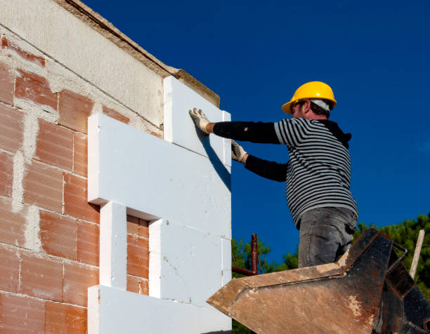 Best Spray Foam Insulation  in Windom, MN