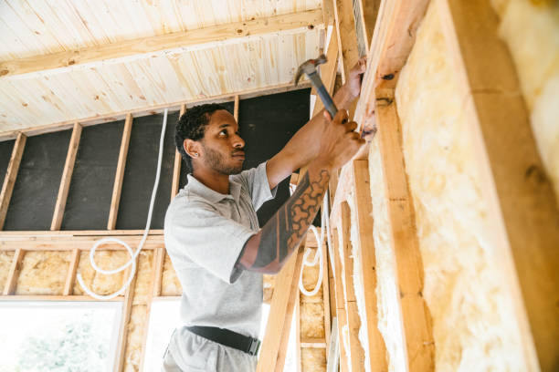 Best Insulation for Commercial Buildings  in Windom, MN